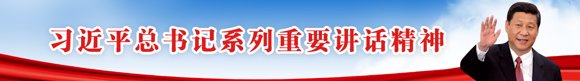 習(xí)近平總書(shū)記系列重要講話(huà)精神
